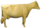 :gatorcow: