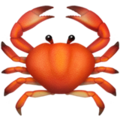 :crab: