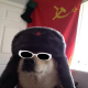 Slavic Pupper