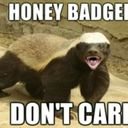 honey_badger