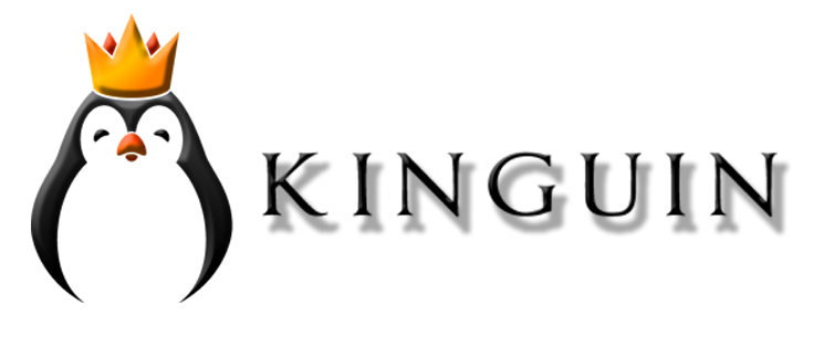 More information about "Kinguin"