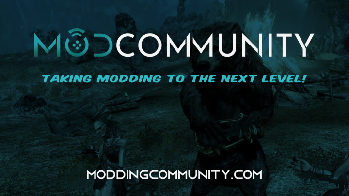 More information about "The Modding Community"